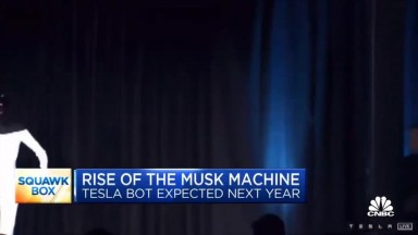 The Tesla Bot