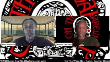 On The Wake Up: Universal Dis Ease Reversal Interview  with brother Heru of herbal results